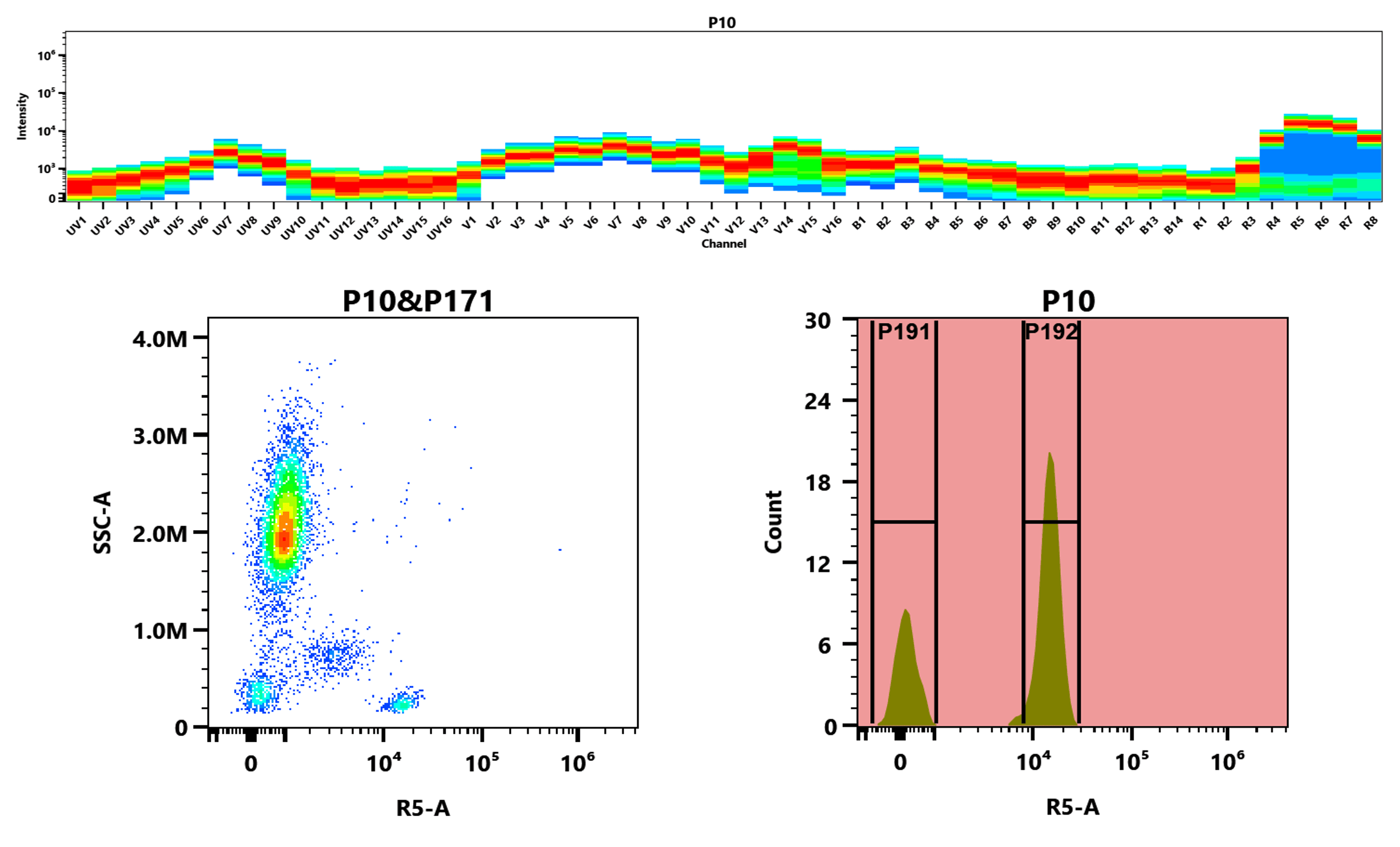 Top) The Spectral pattern was generated using a 4-laser spectral cytometer. Four spatially offset lasers (355 nm, 405 nm, 488 nm, and 640 nm) were used to create four distinct emission profiles, which, when combined, yielded the overall spectral signature. Bottom) Flow cytometry analysis of whole blood stained with iFluor® 710 anti-human CD4 *SK3* conjugate. The fluorescence signal was monitored using an Aurora spectral flow cytometer in the iFluor® 710 R5-A channel.