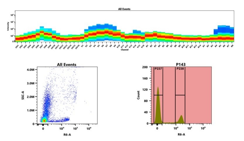 (Top) Spectral emission profiles generated using four spatially offset lasers (355 nm, 405 nm, 488 nm, and 640 nm). Each laser produced a distinct emission pattern, and their combination yielded the composite spectral signature. (Bottom) Flow cytometry analysis of whole blood stained with iFluor® 710 Anti-human CD8 Antibody *SK1*. The fluorescence signal was monitored using an Aurora spectral flow cytometer in the specific R6-A channel.