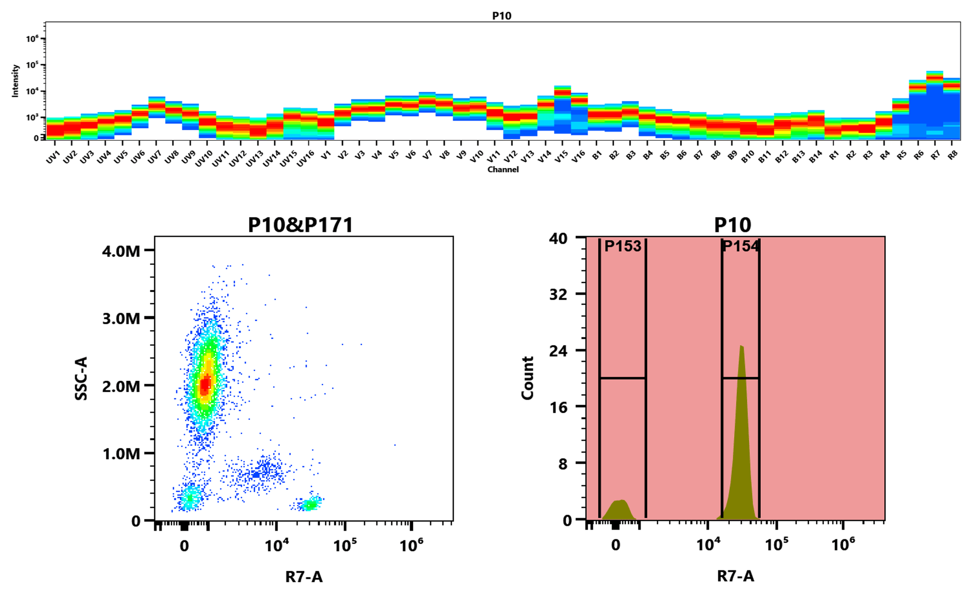 Top) The Spectral pattern was generated using a 4-laser spectral cytometer. Four spatially offset lasers (355 nm, 405 nm, 488 nm, and 640 nm) were used to create four distinct emission profiles, which, when combined, yielded the overall spectral signature. Bottom) Flow cytometry analysis of whole blood stained with iFluor® 750 anti-human CD4 *SK3* conjugate. The fluorescence signal was monitored using an Aurora spectral flow cytometer in the iFluor® 750 R7-A channel.