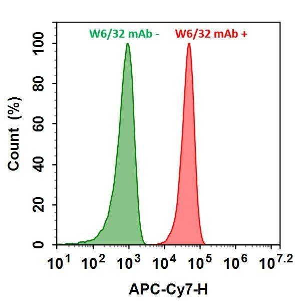 HL-60 cells were incubated with (Red, +) or without (Green, -) Anti-human HLA-ABC (W6/32 mAb), followed by iFluor™ 750 goat anti-mouse IgG conjugate. The fluorescence signal was monitored using ACEA NovoCyte flow cytometer in APC-Cy7 channel.