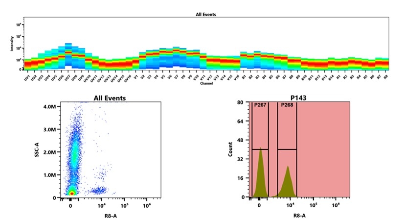 (Top) Spectral emission profiles generated using four spatially offset lasers (355 nm, 405 nm, 488 nm, and 640 nm). Each laser produced a distinct emission pattern, and their combination yielded the composite spectral signature. (Bottom) Flow cytometry analysis of whole blood stained with iFluor® 790 Anti-human CD3 Antibody *UCHT1*. The fluorescence signal was monitored using an Cytek Aurora flow cytometer in the specific R8-A channel.