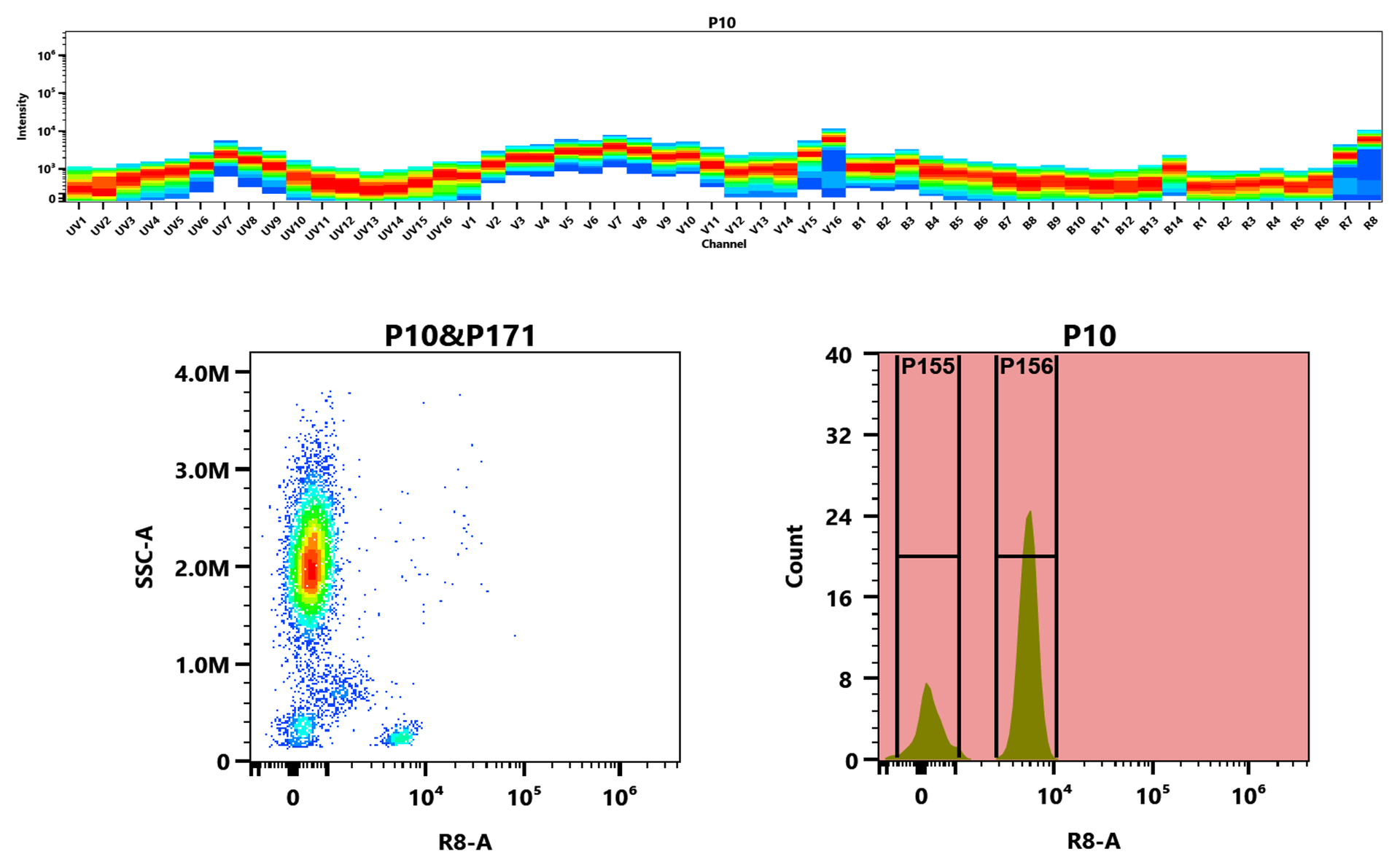 Top) The Spectral pattern was generated using a 4-laser spectral cytometer. Four spatially offset lasers (355 nm, 405 nm, 488 nm, and 640 nm) were used to create four distinct emission profiles, which, when combined, yielded the overall spectral signature. Bottom) Flow cytometry analysis of whole blood stained with iFluor® 790 anti-human CD4 *SK3* conjugate. The fluorescence signal was monitored using an Aurora spectral flow cytometer in the iFluor® 790 R8-A channel.