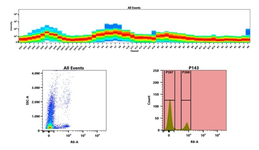 (Top) Spectral emission profiles generated using four spatially offset lasers (355 nm, 405 nm, 488 nm, and 640 nm). Each laser produced a distinct emission pattern, and their combination yielded the composite spectral signature. (Bottom) Flow cytometry analysis of whole blood stained with iFluor® 800 Anti-human CD8 Antibody *SK1*. The fluorescence signal was monitored using an Aurora spectral flow cytometer in the specific R8-A channel.