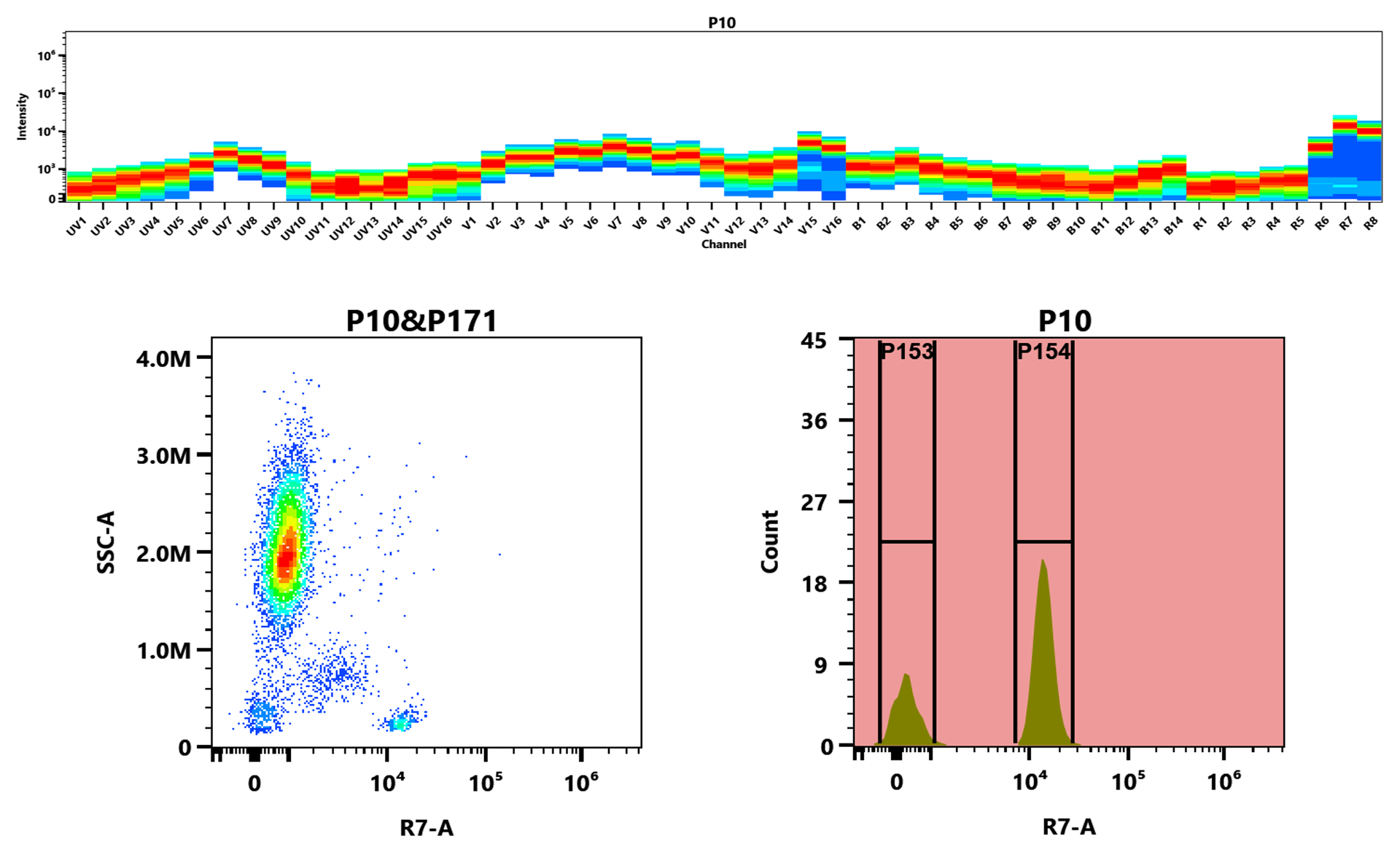 Top) The Spectral pattern was generated using a 4-laser spectral cytometer. Four spatially offset lasers (355 nm, 405 nm, 488 nm, and 640 nm) were used to create four distinct emission profiles, which, when combined, yielded the overall spectral signature. Bottom) Flow cytometry analysis of whole blood stained with iFluor® A7 anti-human CD4 *SK3* conjugate. The fluorescence signal was monitored using an Aurora spectral flow cytometer in the iFluor® A7 R7-A channel.