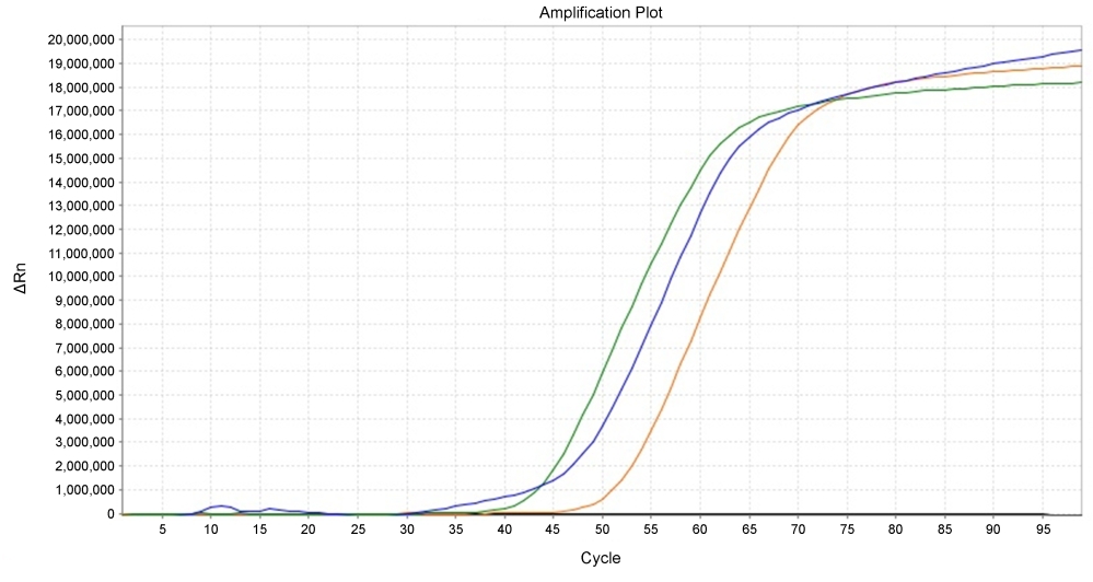 LAMP detection of BRCA1 in HeLa cells.