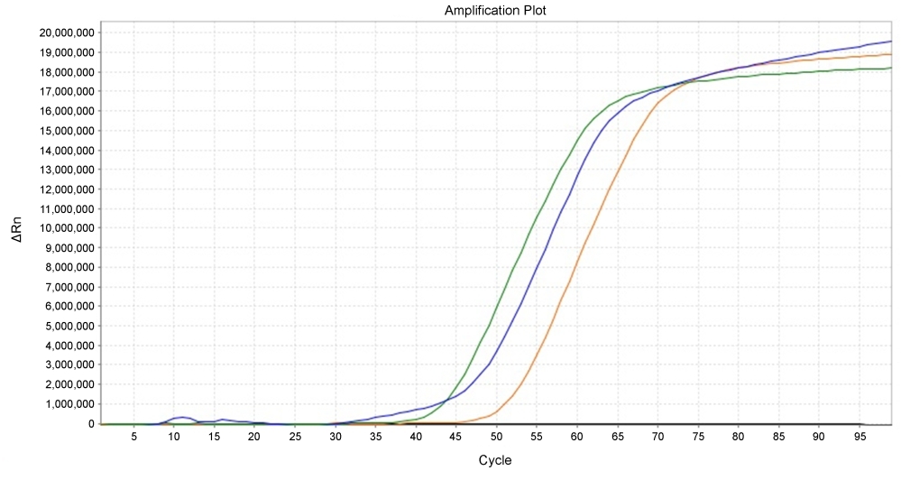 LAMP detection of BRCA1 in HeLa cells. 500 ng (Green), 50 ng (Blue), 5 ng (Orange), and NTC (Black) of gDNA in HeLa cells was used in LAMP reaction with LAMP Green™ fluorescent dye using ABI 7500 qPCR machine.