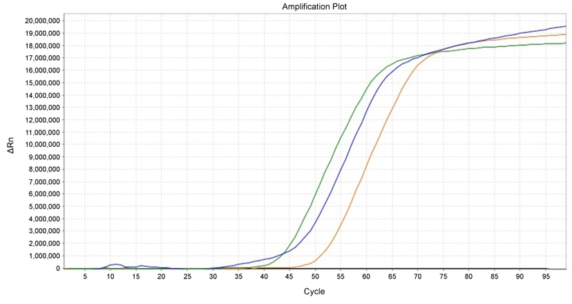 LAMP detection of BRCA1 in HeLa cells