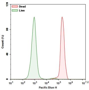 Detection of Jurkat cell viability by Live or Dead™ Fixable Dead Cell Staining Kits (Cat#22600). Jurkat cells were treated and stained with Stain It™ Blue . The cells were fixed in 3.7% formaldehyde and analyzed by flow cytometry as described above. Live (Green) and Dead (heat-treated, Red) cells were distinguished with Pacific Blue channel. The live cell population is easily distinguished from the dead cell population, and nearly identical results were obtained using unfixed cells.