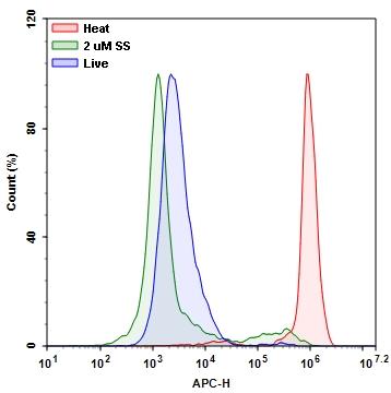 Detection of Jurkat cell viability by Live or Dead™ Fixable Dead Cell Staining Kits (Cat#22604). Jurkat cells were treated and stained with Stain It™ Deep Red, and then fixed in 3.7% formaldehyde and analyzed by flow cytometry. Live (Blue), staurosporine treated (Green) and heat-treated (Red) cells were distinguished with APC channel. 