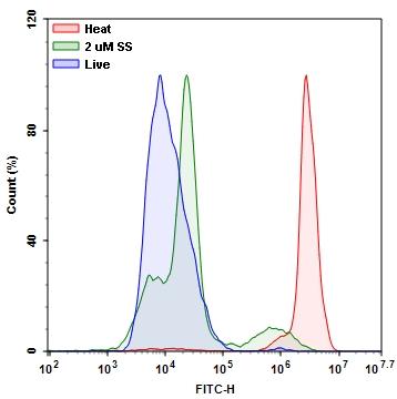 Detection of Jurkat cell viability by Live or Dead&trade; Fixable Dead Cell Staining Kits&nbsp;(Cat#22601). Jurkat cells were treated and stained with Stain It&trade; Green, and then fixed in 3.7% formaldehyde and analyzed by flow cytometry. Live (Blue), staurosporine treated (Green) and heat-treated (Dead, Red) cells were distinguished with FITC channel.