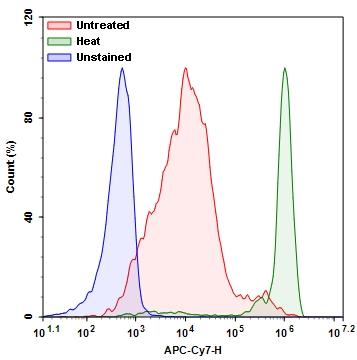 Detection of Jurkat cell viability by Live or Dead&trade; Fixable Dead Cell Staining Kits&nbsp;(Cat#22605). Jurkat cells were treated and stained with&nbsp;Stain It&trade; NIR, and then fixed in 3.7% formaldehyde and analyzed by flow cytometry. Live (Red), heat-treated (Green) and unstained (Blue) cells were distinguished with&nbsp;APC-Cy7 channel.&nbsp;