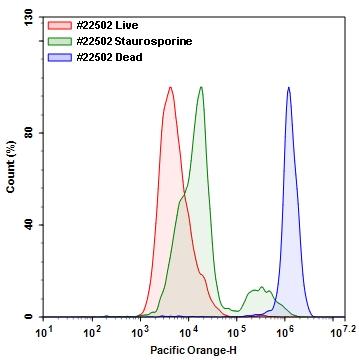 Detection of Jurkat cell viability by Live or Dead&trade; Fixable Dead Cell Staining Kits (Cat# 22502). Jurkat cells were treated and stained with Stain It&trade; V550, and then fixed in 3.7% formaldehyde and analyzed by flow cytometry. Live (Red), staurosporine treated (Green) and heat-treated (Blue) cells were distinguished with&nbsp;Pacific Orange channel.