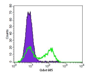 Detection of Jurkat cell viability by Live or Dead™ Fixable Dead Cell Staining Kits 22599. Jurkat cells were treated and stained with Stain IT™ Red 620. Live (violet solid peak) and staurosporine treated (green line) cells were measured with Qdot®605 Channel. The live cell population is easily distinguished from the dead cell population.
