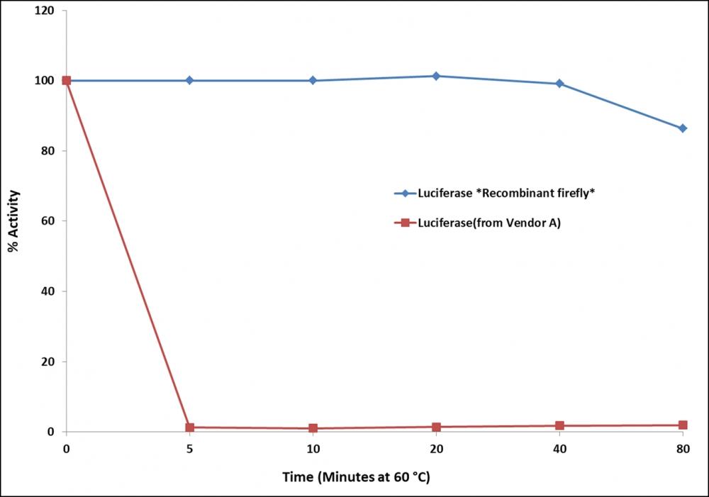 Comparison of the heat stability of Luciferase *Recombinant firefly* and &nbsp;Luciferase(from Vendor A) after&nbsp;incubation at 60 &deg;C.