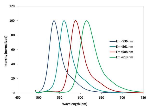 The normalized fluorescence spectra of the four fluorescent ddNTPs provided in MagaDye&trade; 4 Color Sanger Sequencing Terminator Kit. &nbsp;They emit 4 different fluorescence colors when illuminated by 488 nm laser beam. The four MagaDye&trade; fluorescent ddNTP terminators have almost identical spectra to the four BigDye ddNTPs used in Sanger sequencing.