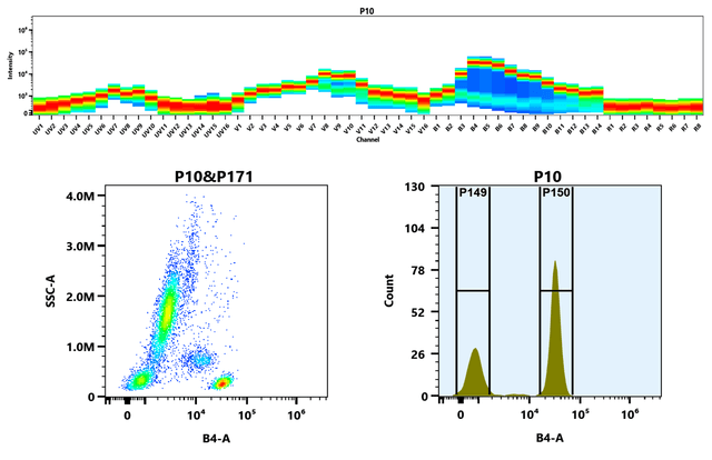 Flow cytometry analysis of whole blood cells stained with mFluor™ Blue 585 anti-human CD4 antibody (Clone: SK3). The fluorescence signal was monitored using an Aurora spectral flow cytometer in the mFluor™ Blue 585 specific B4-A channel.