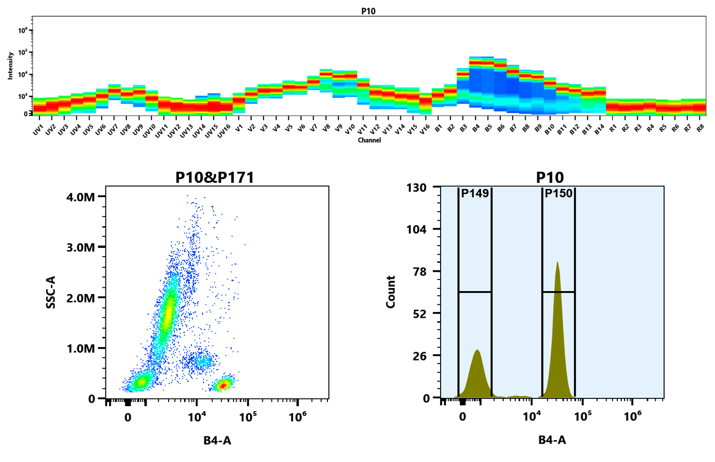 (Top) Spectral emission profiles generated using four spatially offset lasers (355 nm, 405 nm, 488 nm, and 640 nm). Each laser produced a distinct emission pattern, and their combination yielded the composite spectral signature.
(Bottom) Flow cytometry analysis of whole blood stained with mFluor™ Blue 585 Anti-human CD4 Antibody (Clone: SK3). The fluorescence signal was monitored using a Cytek Aurora spectral flow cytometer in the mFluor™ Blue 585-specific B4-A channel.