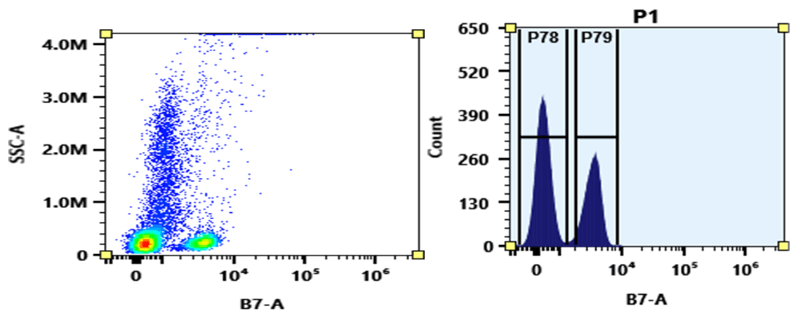 Flow cytometry analysis of whole blood stained with mFluor™ Blue 620 anti-human CD4 *SK3* conjugate. The fluorescence signal was monitored using an Aurora spectral flow cytometer in the mFluor™ Blue 620 specific B7-A channel.