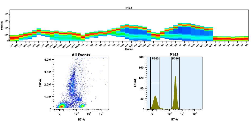 (Top) Spectral emission profiles generated using four spatially offset lasers (355 nm, 405 nm, 488 nm, and 640 nm). Each laser produced a distinct emission pattern, and their combination yielded the composite spectral signature of mFluor™ Blue 659.(Bottom) Flow cytometry analysis of whole blood stained with anti-human CD4 antibody (clone RPA-T4) labeled with mFluor™ Blue 659 using mFluor™ Blue 659 SE (Cat. #1181). The fluorescence signal was monitored using a Cytek Aurora spectral flow cytometer in the B7-A channel.
