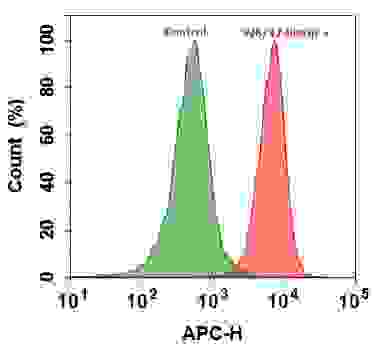 Flow cytometry analysis of HL-60 cells stained with (Red) or without (Green) 1ug/ml Anti-Human HLA-ABC-Biotin and then followed by mFluor™Red 700 conjugate (Cat#16946). The fluorescence signal was monitored using ACEA NovoCyte flow cytometer in the APC channel.