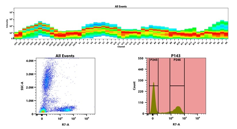 (Top) Spectral emission profiles generated using four spatially offset lasers (355 nm, 405 nm, 488 nm, and 640 nm). Each laser produced a distinct emission pattern, and their combination yielded the composite spectral signature. (Bottom) Flow cytometry analysis of whole blood stained with mFluor™ Red 780 Anti-human CD7 Antibody *HIT7*. The fluorescence signal was monitored using an Cytek Aurora flow cytometer in the specific R7-A channel.