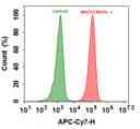 Flow cytometry analysis of HL-60 cells stained with (Red) or without (Green) 1ug/ml Anti-Human HLA-ABC-Biotin and&nbsp; then followed by mFluor&trade; Red 780-streptavidin conjugate (Cat#16948). The fluorescence signal was monitored using ACEA NovoCyte flow cytometer in the APC-Cy7 channel.