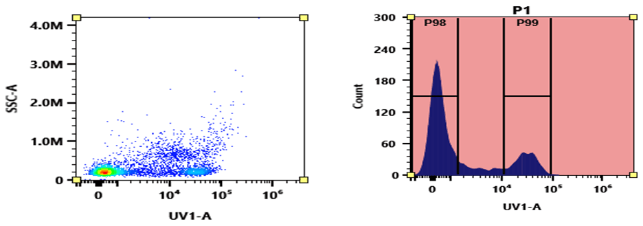 Flow cytometry analysis of PBMC stained with mFluor™ UV375 anti-human CD8 *SK1* conjugate. The fluorescence signal was monitored using an Aurora spectral flow cytometer in the mFluor™ UV375 specific UV1-A channel.