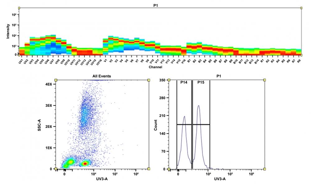 <strong>Top)</strong> Spectral pattern was generated using a 4-laser spectral cytometer. Spatially offset lasers (355 nm, 405 nm, 488 nm, and 640 nm) were used to generate four distinct emission profiles, then, when combined, yielded the overall spectral signature. <strong>Bottom)</strong> Flow cytometry analysis of whole blood cells stained with CD4-mFluor&trade; UV420 conjugate. The fluorescence signal was monitored using an Aurora spectral flow cytometer in the mFluor&trade; UV420 specific UV3-A channel.