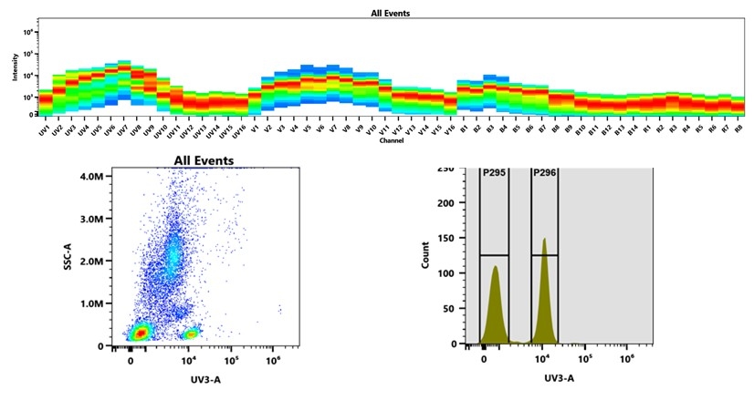 (Top) Spectral emission profiles generated using four spatially offset lasers (355 nm, 405 nm, 488 nm, and 640 nm). Each laser produced a distinct emission pattern, and their combination yielded the composite spectral signature. (Bottom) Flow cytometry analysis of whole blood stained with CD4-RPAT4-mFluor™ UV440 Conjugate. The fluorescence signal was monitored using an Cytek Aurora flow cytometer in the specific UV3-A channel.