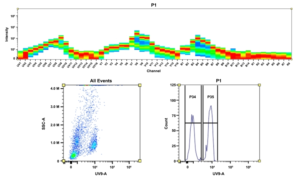 <strong>Top)</strong> Spectral pattern was generated using a 4-laser spectral cytometer. Spatially offset lasers (355 nm, 405 nm, 488 nm, and 640 nm) were used to generate four distinct emission profiles, then, when combined, yielded the overall spectral signature. <strong>Bottom)</strong> Flow cytometry analysis of whole blood cells stained with CD4-mFluor™ UV540 conjugate. The fluorescence signal was monitored using an Aurora spectral flow cytometer in the mFluor™ UV540 specific UV9-A channel.