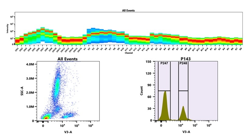 (Top) Spectral emission profiles generated using four spatially offset lasers (355 nm, 405 nm, 488 nm, and 640 nm). Each laser produced a distinct emission pattern, and their combination yielded the composite spectral signature. (Bottom) Flow cytometry analysis of whole blood stained with mFluor™ Violet 450 Anti-human CD2 Antibody *RPA-2.10*. The fluorescence signal was monitored using an Cytek Aurora flow cytometer in the specific V3-A channel.