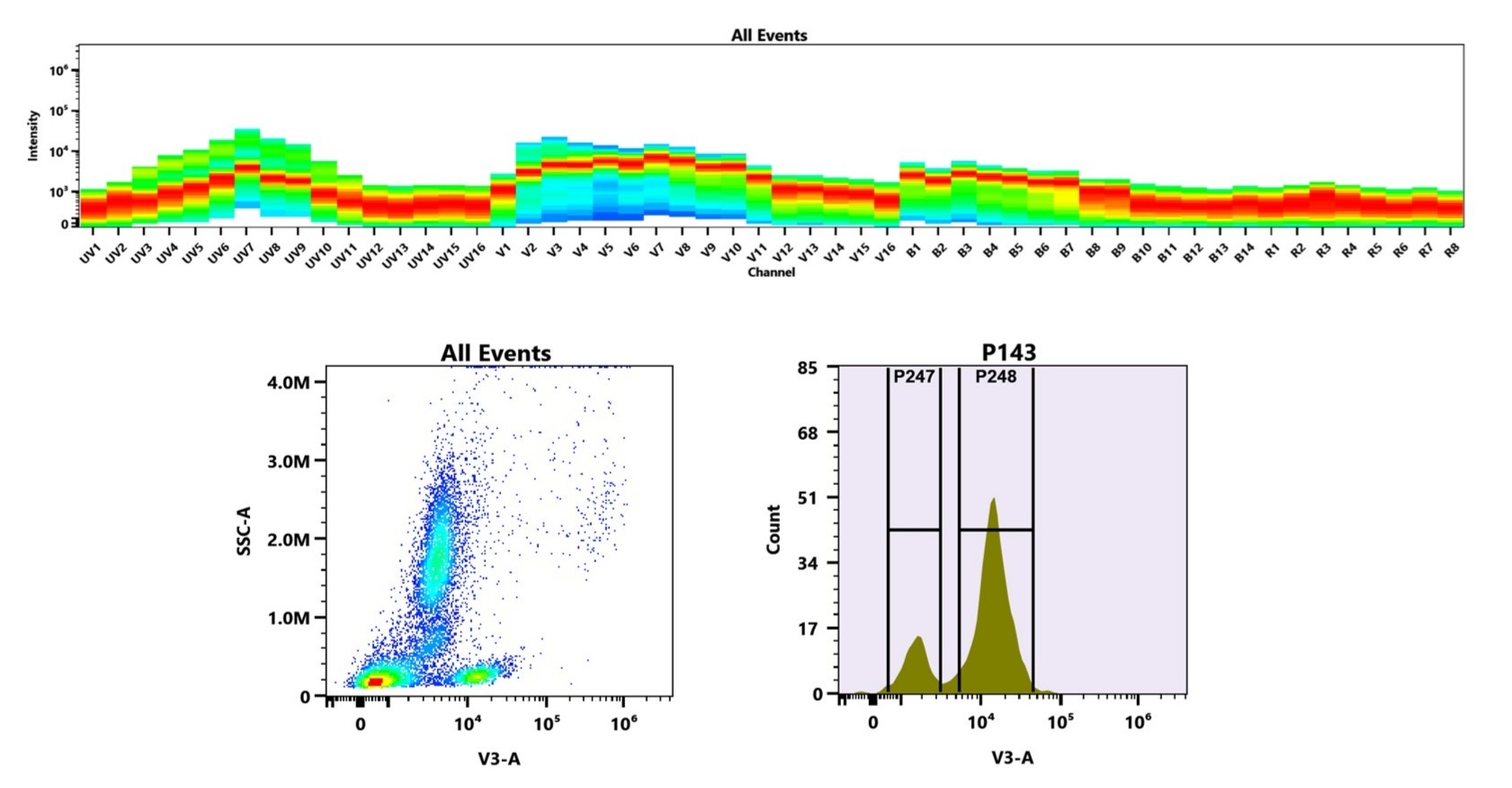 (Top) Spectral emission profiles generated using four spatially offset lasers (355 nm, 405 nm, 488 nm, and 640 nm). Each laser produced a distinct emission pattern, and their combination yielded the composite spectral signature. (Bottom) Flow cytometry analysis of human whole blood stained with mFluor™ Violet 450 Anti-human CD28 Antibody (CD28.2) (Cat. #102800Z0). The fluorescence signal was monitored on a Cytek Aurora spectral flow cytometer in the V3-A channel, demonstrating clear detection of CD28⁺ cells.