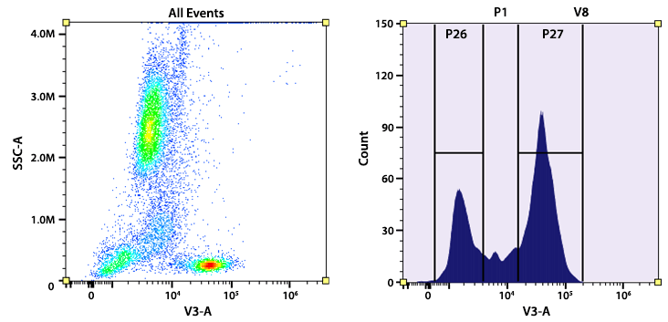 Flow cytometry analysis of whole blood cells stained with mFluor™ Violet 450 Anti-human CD5 antibody (Clone: UCHT2). The fluorescence signal was monitored using an Aurora spectral flow cytometer in the mFluor™ Violet 450 specific V3-A channel.