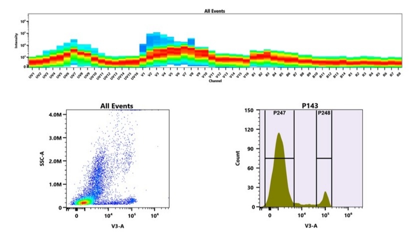 (Top) Spectral emission profiles generated using four spatially offset lasers (355 nm, 405 nm, 488 nm, and 640 nm). Each laser produced a distinct emission pattern, and their combination yielded the composite spectral signature. (Bottom) Flow cytometry analysis of whole blood stained with mFluor™ Violet 450 Anti-human CD8 Antibody *SK1*. The fluorescence signal was monitored using an Aurora spectral flow cytometer in the specific V3-A channel.