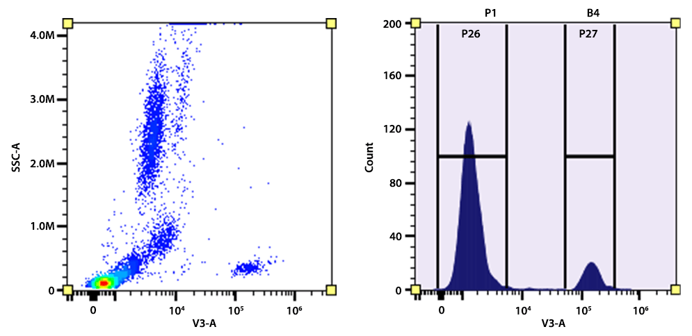 Flow cytometry analysis of whole blood cells stained with mFluor™ Violet 450 anti-human/monkey CD20 antibody (Clone: 2H7). The fluorescence signal was monitored using an Aurora spectral flow cytometer in the mFluor™ Violet 450 specific V3-A channel.