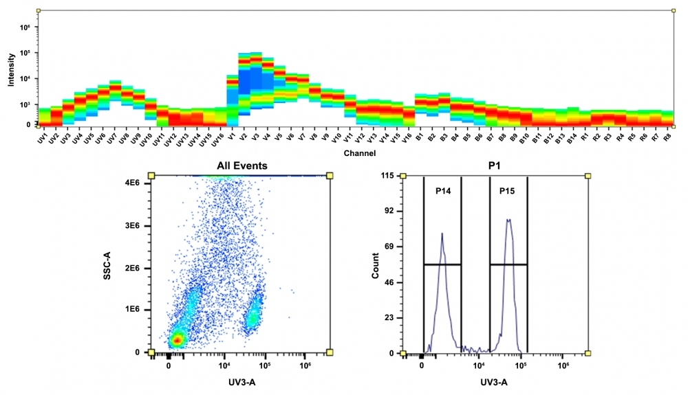 <strong>Top)</strong> Spectral pattern was generated using a 4-laser spectral cytometer. Spatially offset lasers (355 nm, 405 nm, 488 nm, and 640 nm) were used to generate four distinct emission profiles, then, when combined, yielded the overall spectral signature. <strong>Bottom)</strong> Flow cytometry analysis of whole blood cells stained with CD4-mFluor™ Violet 450 conjugate. The fluorescence signal was monitored using an Aurora spectral flow cytometer in the mFluor™ Violet 450 specific UV3-A channel.