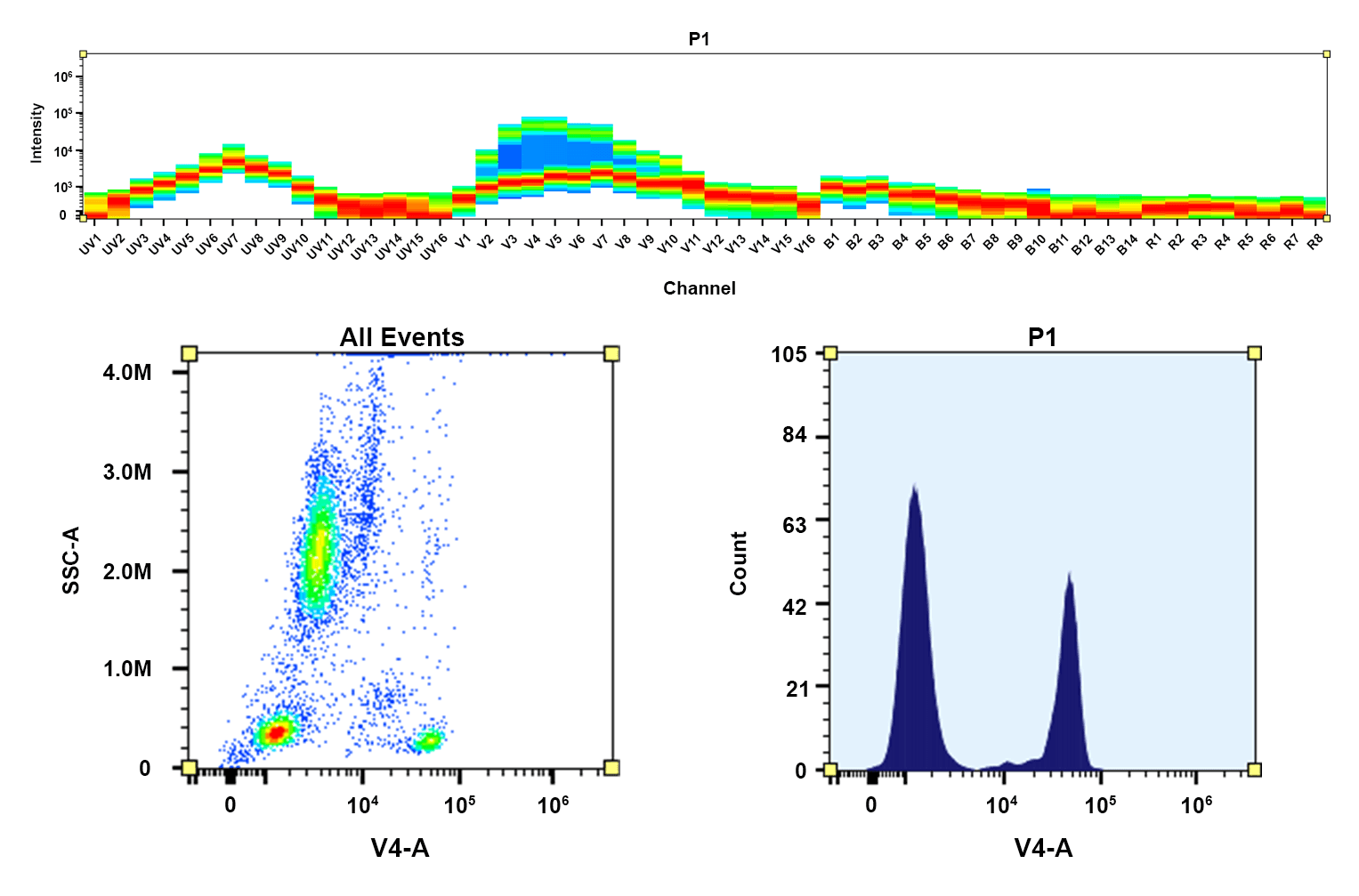 Figure 1. Top) Spectral pattern was generated using a 4-laser spectral cytometer. Spatially offset lasers (355 nm, 405 nm, 488 nm, and 640 nm) were used to generate four distinct emission profiles, then, when combined, yielded the overall spectral signature. Bottom) Flow cytometry analysis of whole blood cells stained with CD4-mFluor™ Violet 480 conjugate. The fluorescence signal was monitored using an Aurora spectral flow cytometer in the mFluor™ Violet 480 specific V4-A channel.