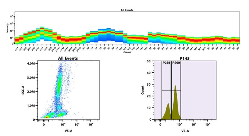(Top) Spectral emission profiles generated using four spatially offset lasers (355 nm, 405 nm, 488 nm, and 640 nm). Each laser produced a distinct emission pattern, and their combination yielded the composite spectral signature. (Bottom) Flow cytometry analysis of whole blood stained with mFluor™ Violet 500 Anti-human CD2 Antibody *HIT11*. The fluorescence signal was monitored using an Cytek Aurora flow cytometer in the specific V5-A channel.