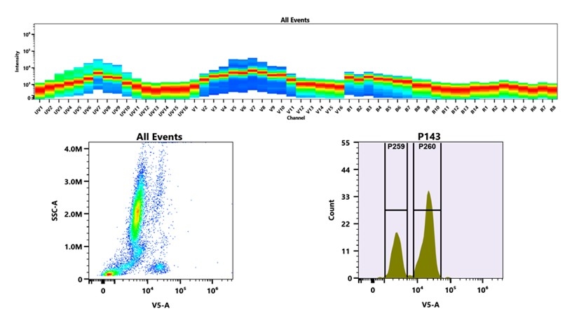 (Top) Spectral emission profiles generated using four spatially offset lasers (355 nm, 405 nm, 488 nm, and 640 nm). Each laser produced a distinct emission pattern, and their combination yielded the composite spectral signature. (Bottom) Flow cytometry analysis of whole blood stained with mFluor™ Violet 510 Anti-human CD3 Antibody *UCHT1*. The fluorescence signal was monitored using an Cytek Aurora flow cytometer in the specific V5-A channel.