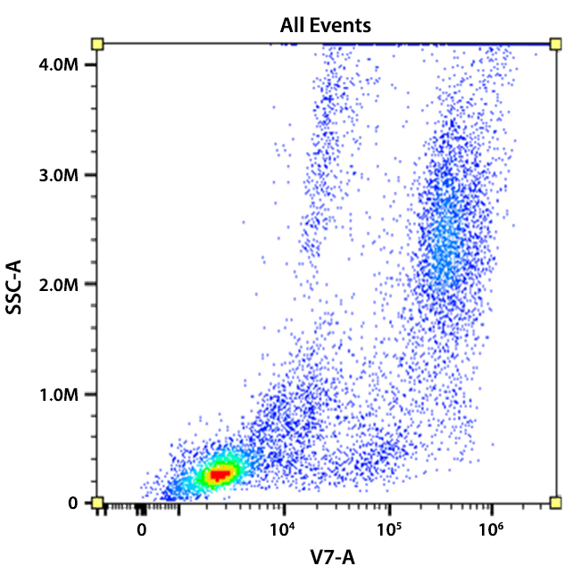 Flow cytometry analysis of whole blood cells stained with mFluor™ Violet 540 Anti-human CD16 (Clone: 3G8). The fluorescence signal was monitored using an Aurora spectral flow cytometer in the mFluor™ Violet 540 specific V7-A channel.