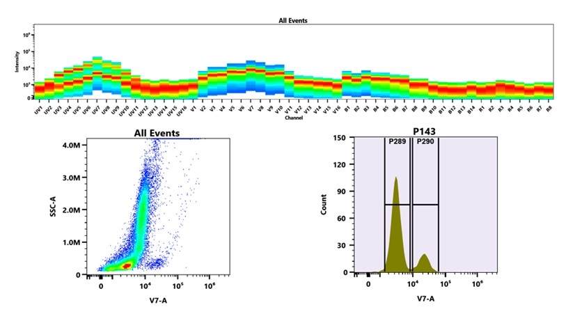 (Top) Spectral emission profiles generated using four spatially offset lasers (355 nm, 405 nm, 488 nm, and 640 nm). Each laser produced a distinct emission pattern, and their combination yielded the composite spectral signature. (Bottom) Flow cytometry analysis of whole blood stained with mFluor™ Violet 540 Anti-human CD19 Antibody (HIB19). The fluorescence signal was monitored using an Cytek Aurora flow cytometer in the specific V7-A channel.