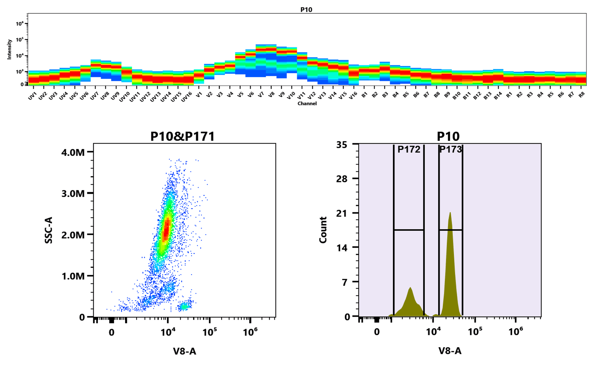 Top) The Spectral pattern was generated using a 4-laser spectral cytometer. Four spatially offset lasers (355 nm, 405 nm, 488 nm, and 640 nm) were used to create four distinct emission profiles, which, when combined, yielded the overall spectral signature. Bottom) Flow cytometry analysis of whole blood stained with mFluor™ Violet 540 anti-human CD4 *SK3* conjugate. The fluorescence signal was monitored using an Aurora spectral flow cytometer in the mFluor™ Violet 540 V8-A channel.