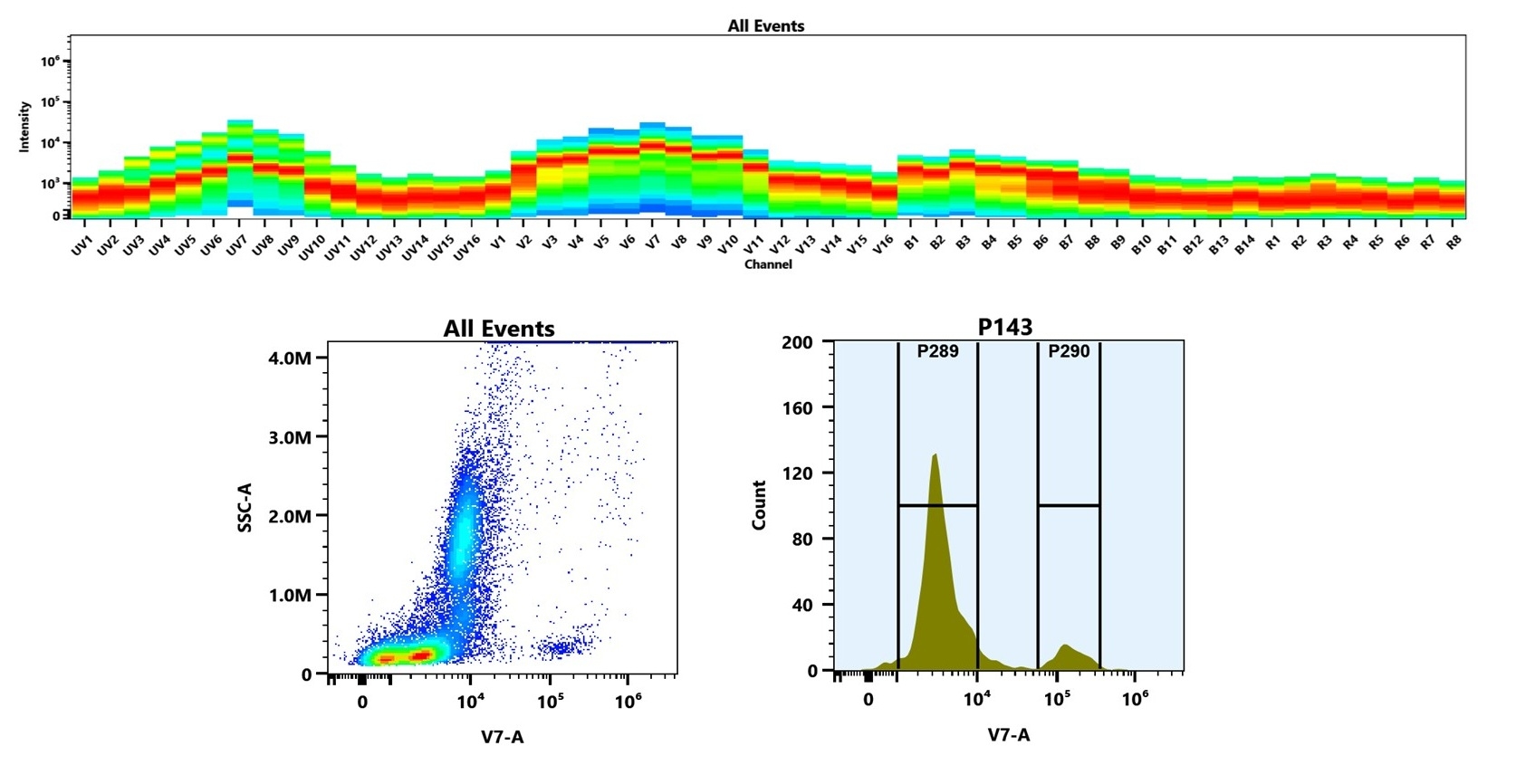 (Top) Spectral emission profiles generated using four spatially offset lasers (355 nm, 405 nm, 488 nm, and 640 nm). Each laser produced a distinct emission pattern, and their combination yielded the composite spectral signature. (Bottom) Flow cytometry analysis of human whole blood stained with mFluor™ Violet 540 Anti-human/monkey CD20 Antibody (2H7) (Cat. #10202120). The fluorescence signal was monitored on a Cytek Aurora spectral flow cytometer in the V7-A channel, demonstrating clear detection of CD20⁺ cells.