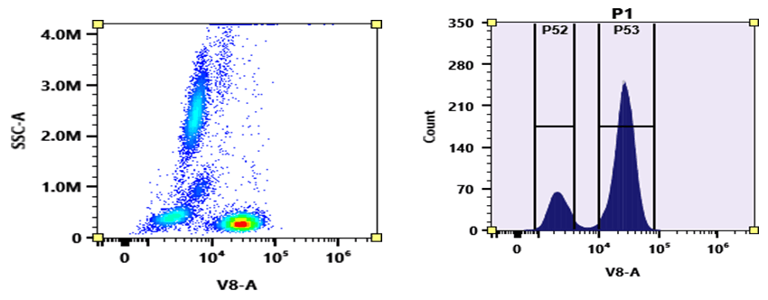 Flow cytometry analysis of whole blood stained with mFluor™ Violet 540 anti-human CD3 *UCHT1* conjugate. The fluorescence signal was monitored using an Aurora spectral flow cytometer in the mFluor™ Violet 540 specific V8-A channel.