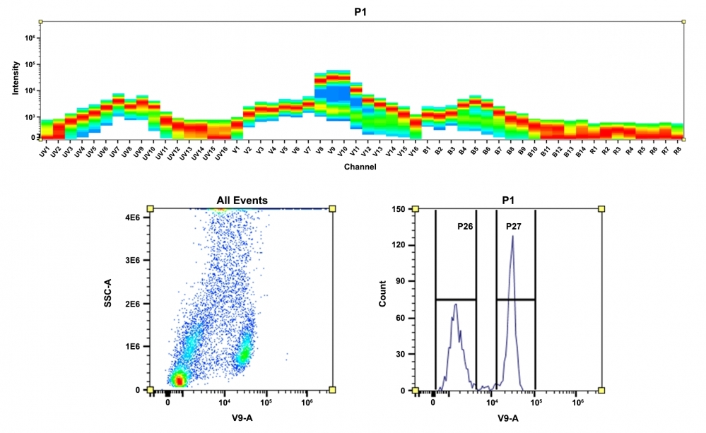 <strong>Top)</strong> Spectral pattern was generated using a 4-laser spectral cytometer. Spatially offset lasers (355 nm, 405 nm, 488 nm, and 640 nm) were used to generate four distinct emission profiles, then, when combined, yielded the overall spectral signature. <strong>Bottom)</strong> Flow cytometry analysis of whole blood cells stained with CD4-mFluor™ Violet 590 conjugate. The fluorescence signal was monitored using an Aurora spectral flow cytometer in the mFluor™ Violet 590 specific V9-A channel.