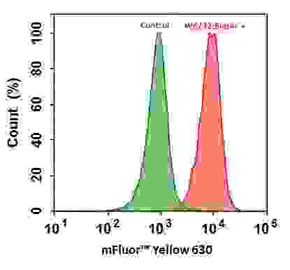 Flow cytometry analysis of HL-60 cells stained with (Red) or without (Green) 1ug/ml Anti-Human HLA-ABC-Biotin and then followed by mFluor™ Yellow  630-streptavidin conjugate (Cat#16942).