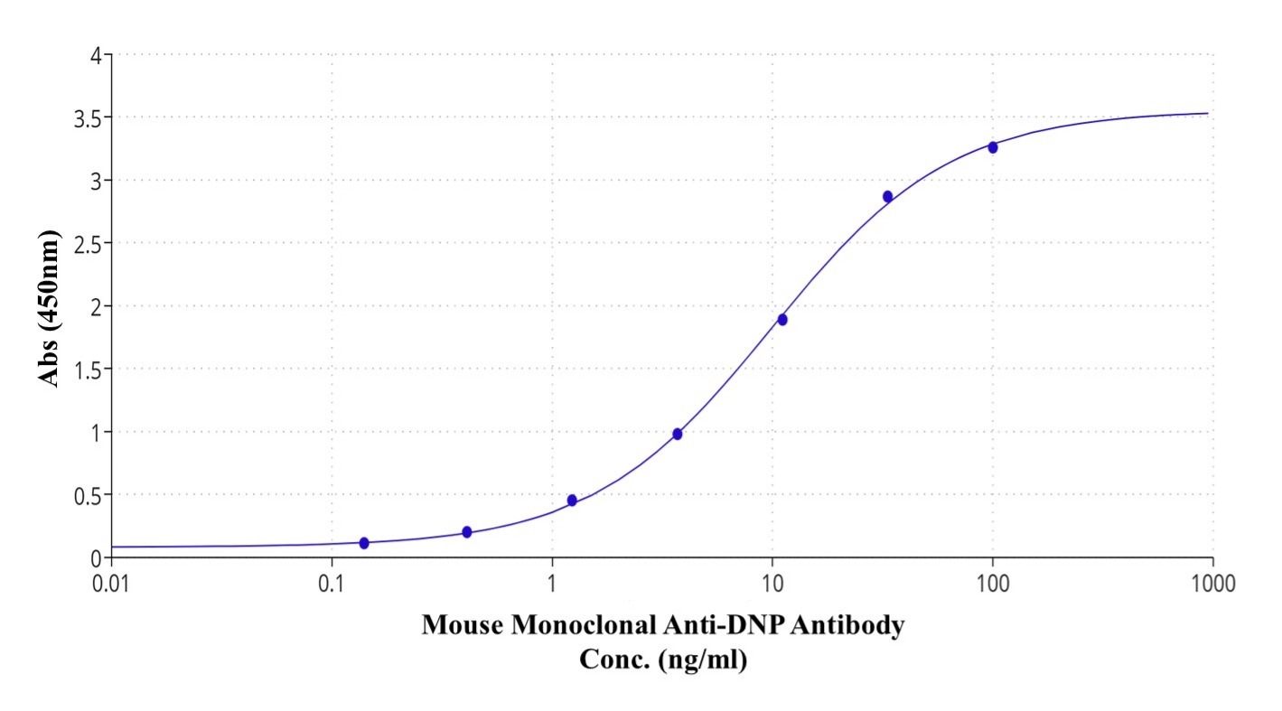 ELISA validation of Mouse Monoclonal Anti-DNP Antibody (Cat #46871) using DNP-BSA–coated plates. The antibody was tested at 100 ng/mL with 3× serial dilutions, followed by detection with an HRP-labeled goat anti-mouse IgG (Cat #16728). Signal was developed with TMB (Cat #11012) and measured at 450 nm.