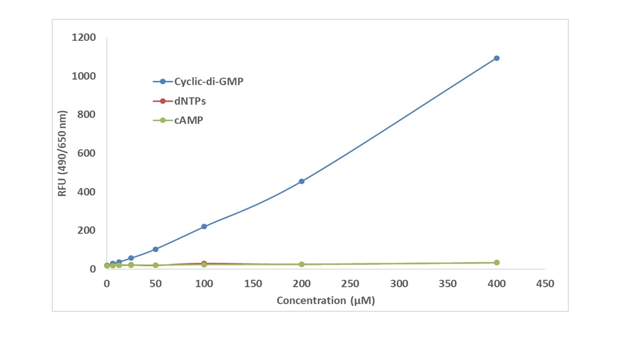 The fluorescence intensity of MycoLight™ Cyclic-di-GMP Red Sensor was measured at 650 nm (excitation at 490 nm) in the presence of Cyclic-di-GMP (Blue), dNTPs (Red) or cyclic-AMP (Green) ranging from 400 to 6.125 µM in 10 mM Tris-HCl, pH 7.5 containing 60 mM KCl buffer. MycoLight™ Cyclic-di-GMP Red Sensor is specific to Cyclic-di-GMP and has no response for dNTPs and cyclic-AMP.