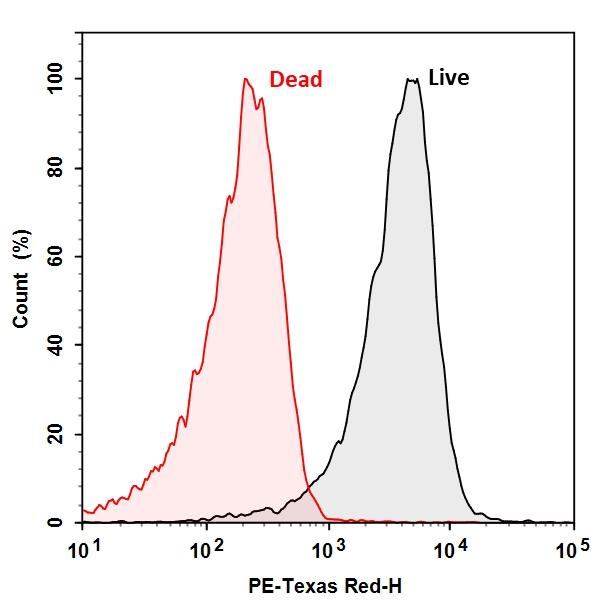 Live and dead (ethanol treated and boiled) <em>E.coli</em> were stained with 1X of CTC for 30 mins at 37&deg;C. Samples were analyzed by flow cytometer with a 488 nm excitation and 615/24 nm bandpass filter. Live and dead bacteria population showed very distinct peaks.
