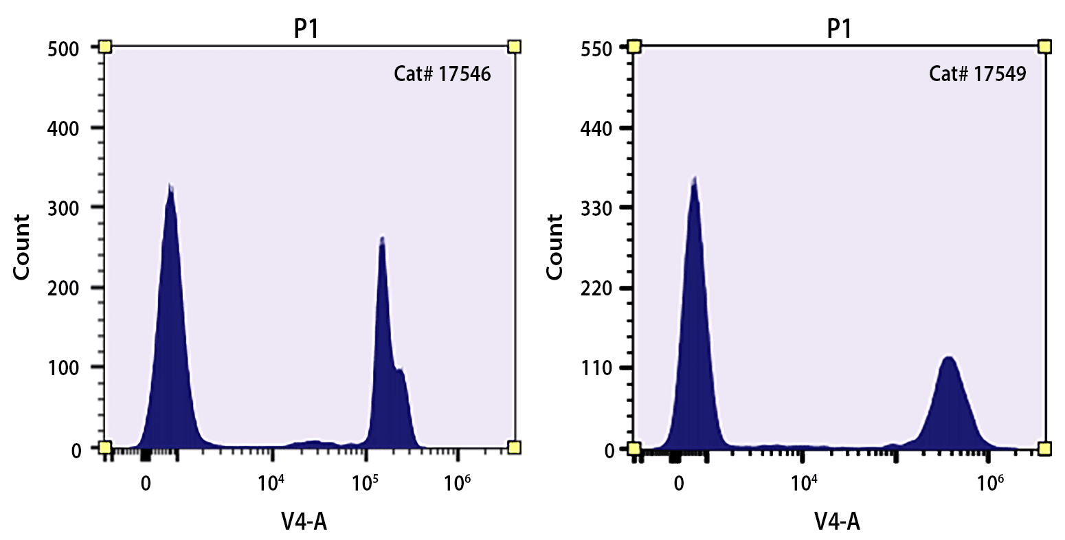 A mixture of heat-killed and untreated Jurkat cells was stained with Nuclear Blue™ DCS2 (17546) or Nuclear Violet™ DCS1 (17549) stain for 10 minutes. Cells were analyzed on a flow cytometer equipped with a 405 nm violet laser and a 473/15 nm bandpass filter, such as the V4 channel on Cytek's Aurora spectral flow cytometer. Live cells are easily distinguished from the dead cell population. 
